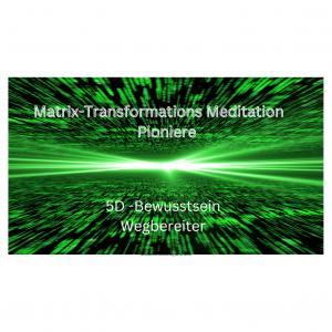 2027 Matrix-Transformations-Pioniere Jahresgruppe